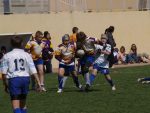 jpg_P4104900_800x600_.jpg
