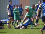jpg_P4104912_800x600_.jpg