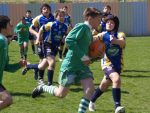 jpg_P4104914_800x600_.jpg