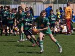 jpg_P4104924_800x600_.jpg