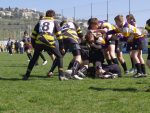 jpg_P4104930_800x600_.jpg
