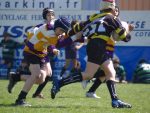 jpg_P4104931_800x600_.jpg
