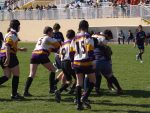 jpg_P4104975_800x600_.jpg
