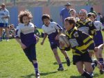 jpg_P4104985_800x600_.jpg