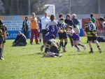 jpg_P4104986_800x600_.jpg