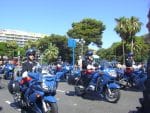 jpg_CIMG5248.jpg