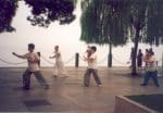 jpg_tai_chi_Villiard.jpg