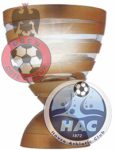 jpg_ligue-nice-havre.jpg
