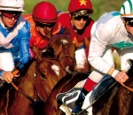 L’hippodrome de Cagnes-sur-Mer organise le 1er Grand Prix Nice 2018