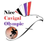 jpg_basket-cavigal.jpg