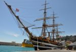Amerigo Vespucci (Proue)