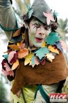 jpg_11bataille_fleurs_140210.jpg