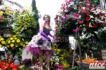 jpg_13bataille_fleurs_140210.jpg