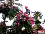 jpg_15bataille_fleurs_140210.jpg