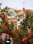 jpg_Carnaval_de_Nice_2010_-_Copyright_Nice_Premium_16_.jpg