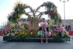 jpg_Photooo-2.jpg