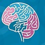 Venez découvrir le cerveau