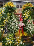 jpg_Carnaval_de_nice_2010_-_Copyright_Nice_Premium_38_.jpg