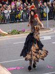 jpg_Carnaval_de_nice_2010_-_Copyright_Nice_Premium_56_.jpg