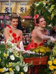 jpg_Carnaval_de_nice_2010_-_Copyright_Nice_Premium_67_.jpg