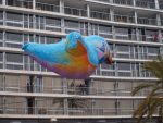 jpg_Carnaval_de_nice_2010_-_Copyright_Nice_Premium_70_.jpg