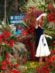 jpg_Carnaval_de_nice_2010_-_Copyright_Nice_Premium_76_.jpg