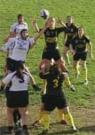 pitchounettes-article.jpg