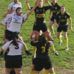 pitchounettes-article.jpg