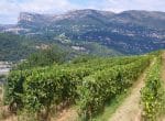 vignes-bellet.jpg