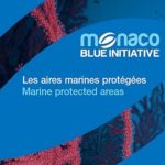 monacoblue.jpg