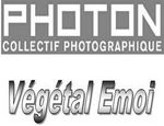 photonvegetal3.jpg