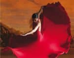 flamenco.jpg