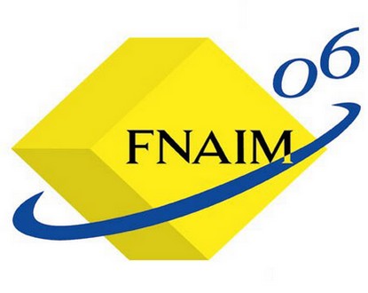 fnaim06-2.jpg