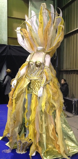 Robe de la Reine du Carnaval par © Rémi Da Costa