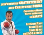 pinna_karate.jpg