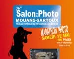 affiche-salon-2012-mini-2098f.jpg