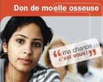 moelle.jpg