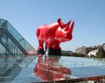 219-rhino-2.jpg