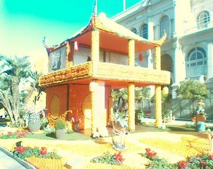 menton_citron-2.jpg