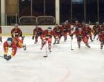 hockey-saut-2.jpg