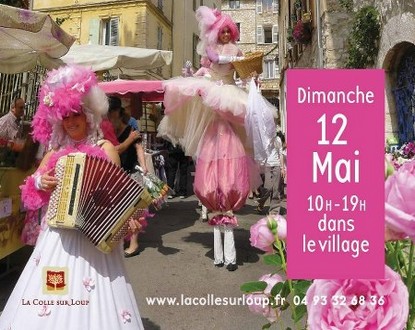 rose_colle_sur_loup.jpg