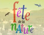 fete_nature.jpg