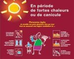 canicule.jpg