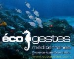 ecogestes-2.jpg