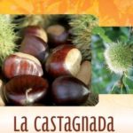 castagnada-2.jpg