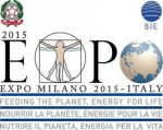 expo_milan_2015.jpg