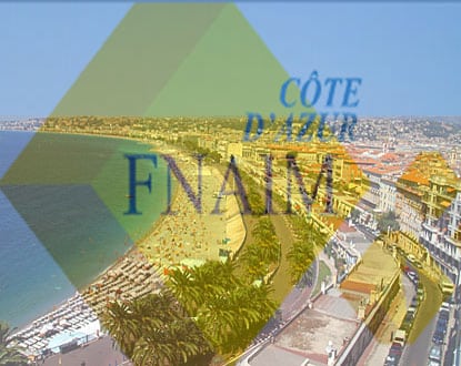fnaim-06.jpg