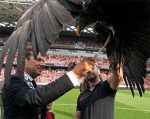 aigle-estrosi.jpg