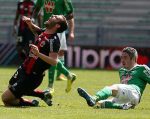 bosetti-verts.jpg