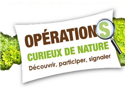 Opérations découverte pour les curieux de Nature